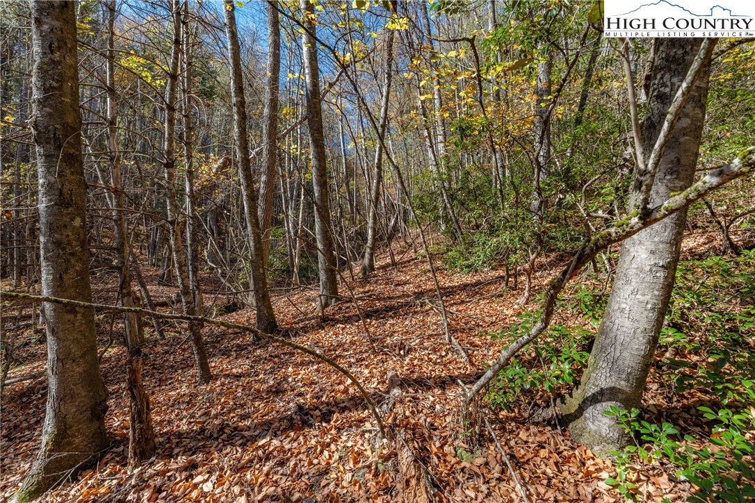 Image number 1 for the current listing