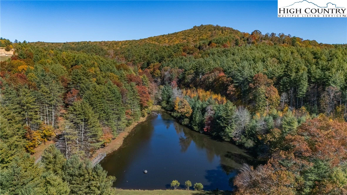 Image number 17 for the current listing