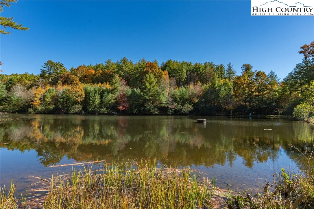 Image number 16 for the current listing