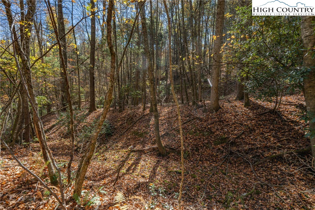 Image number 15 for the current listing
