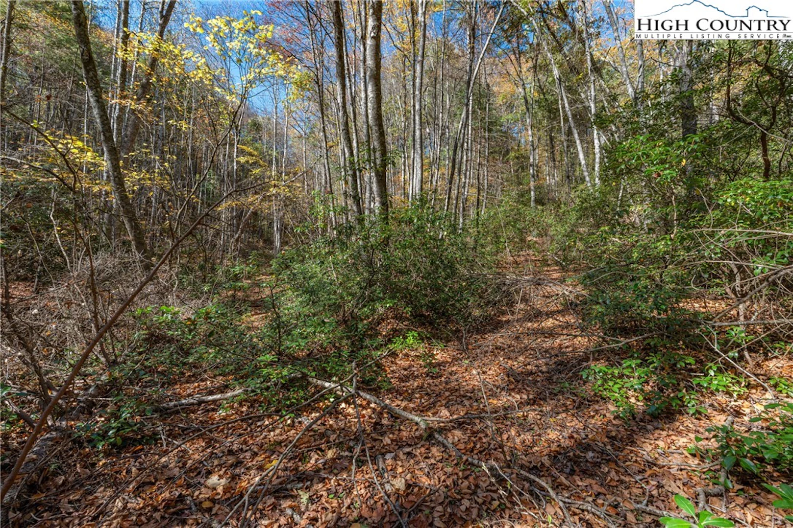 Image number 14 for the current listing