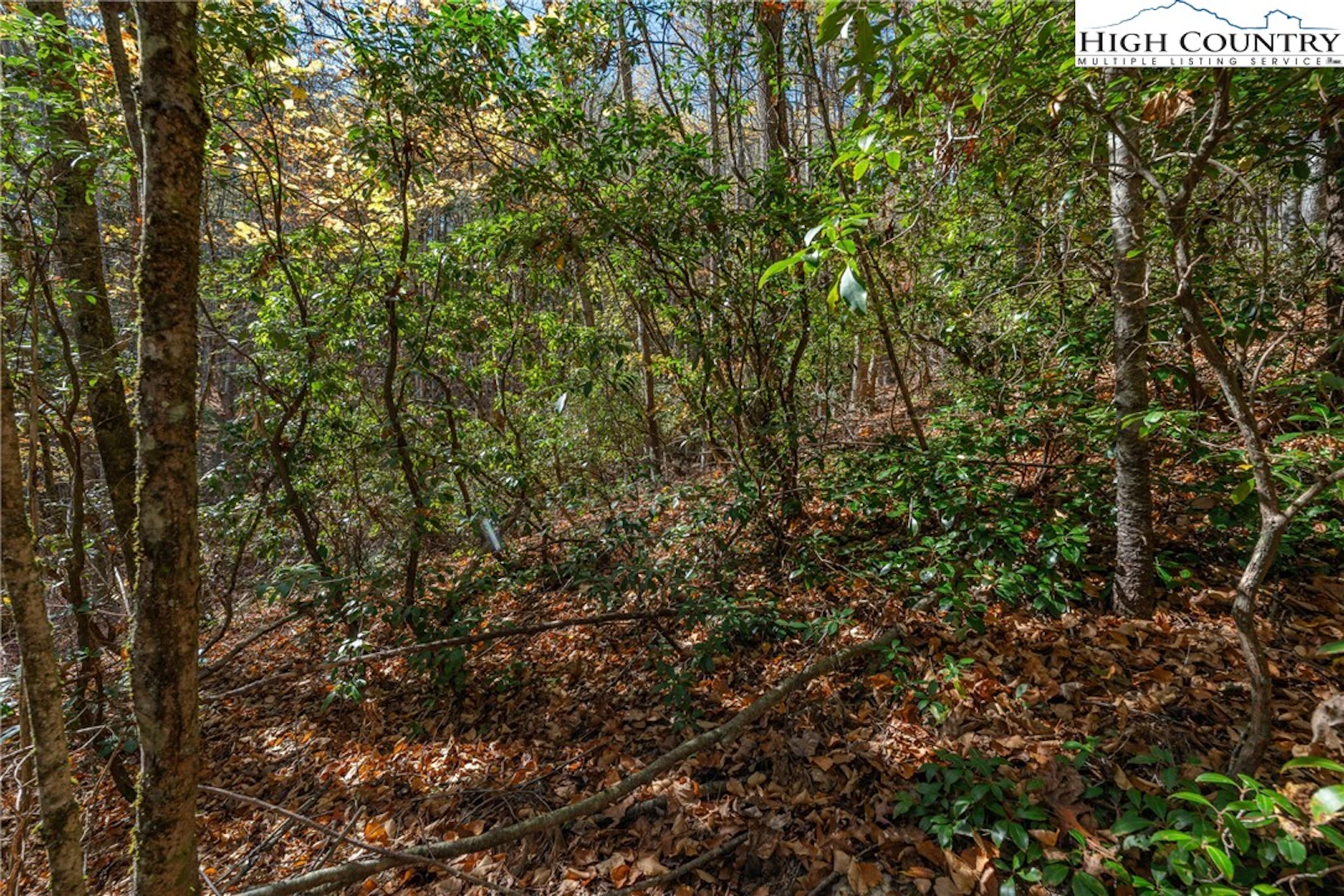 Image number 12 for the current listing