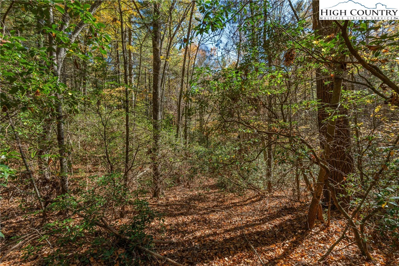 Image number 2 for the current listing