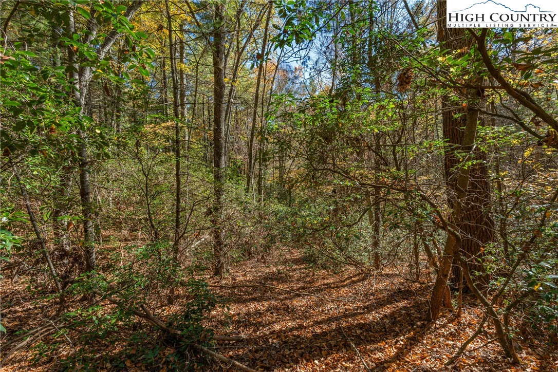 Image number 2 for the current listing