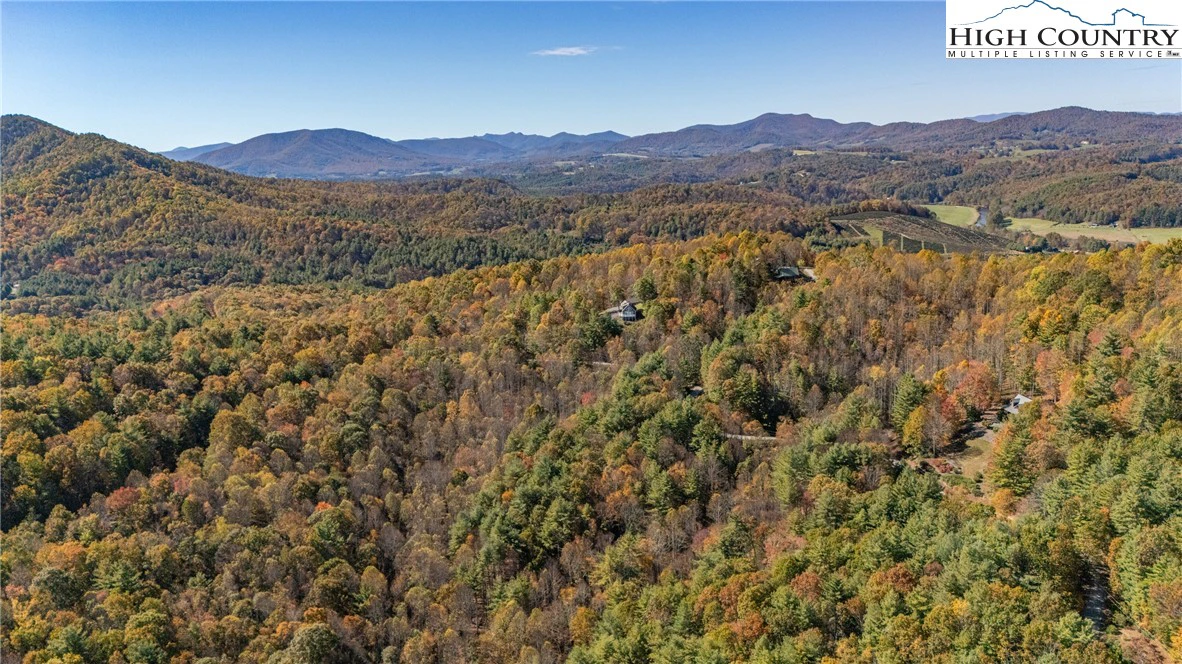 Image number 11 for the current listing