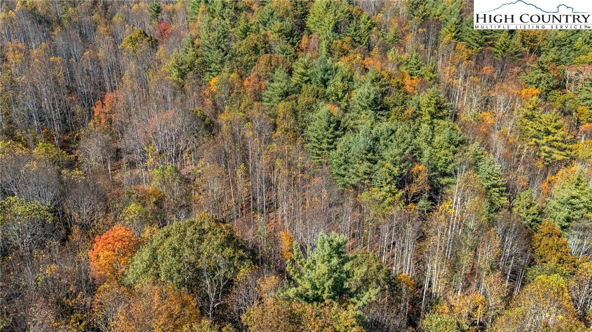 Image number 4 for the current listing