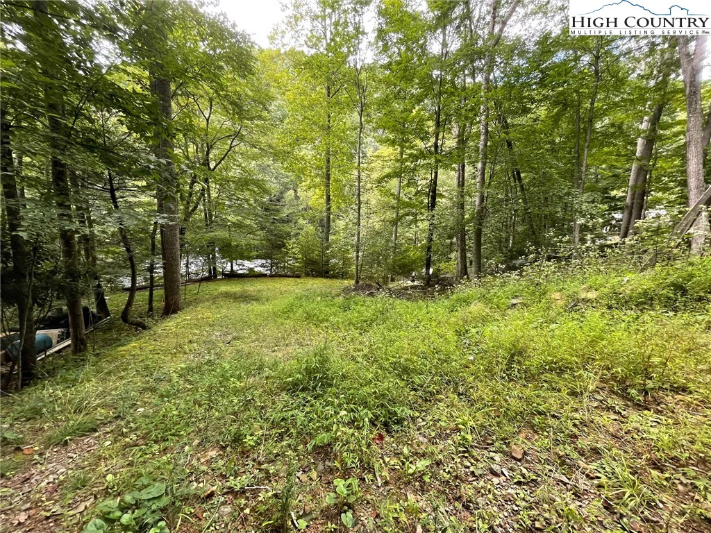 Image number 4 for the current listing
