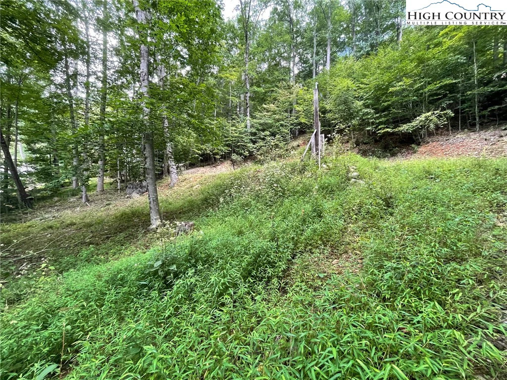 Image number 6 for the current listing