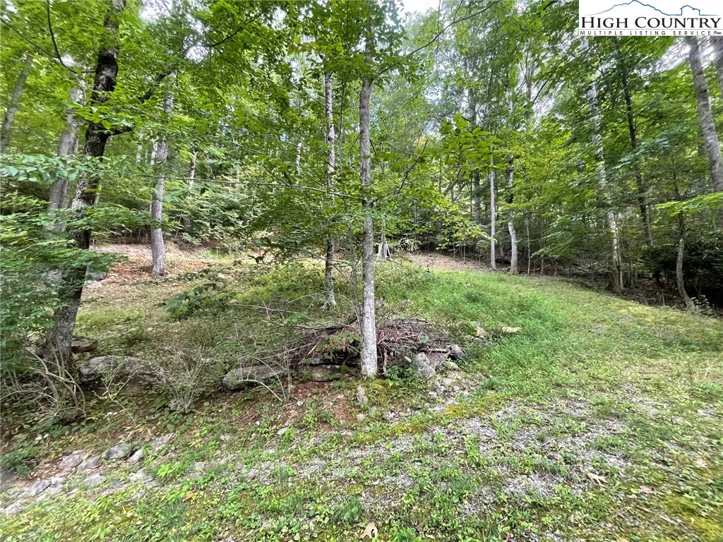 Image number 3 for the current listing