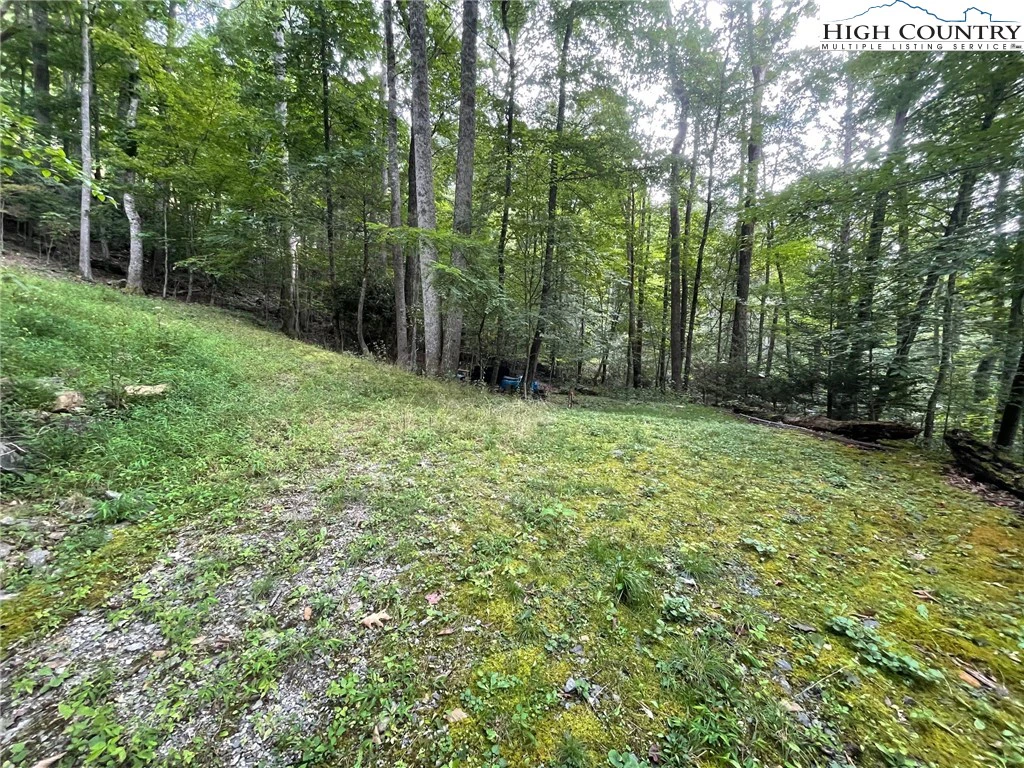 Image number 7 for the current listing