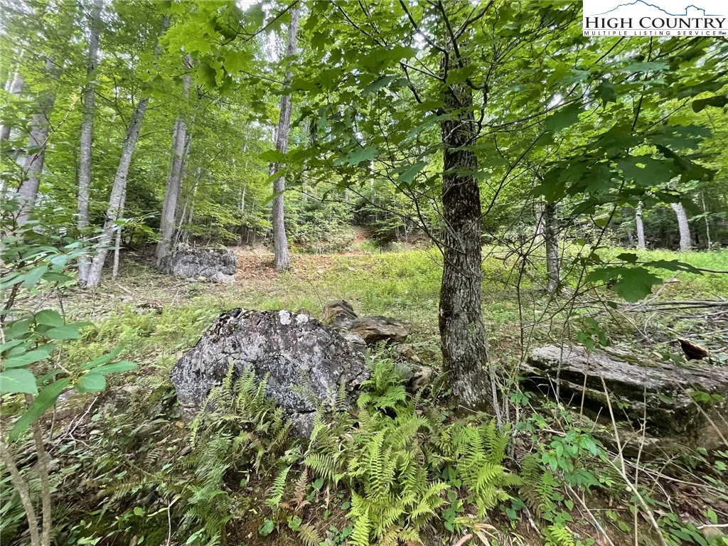 Image number 8 for the current listing