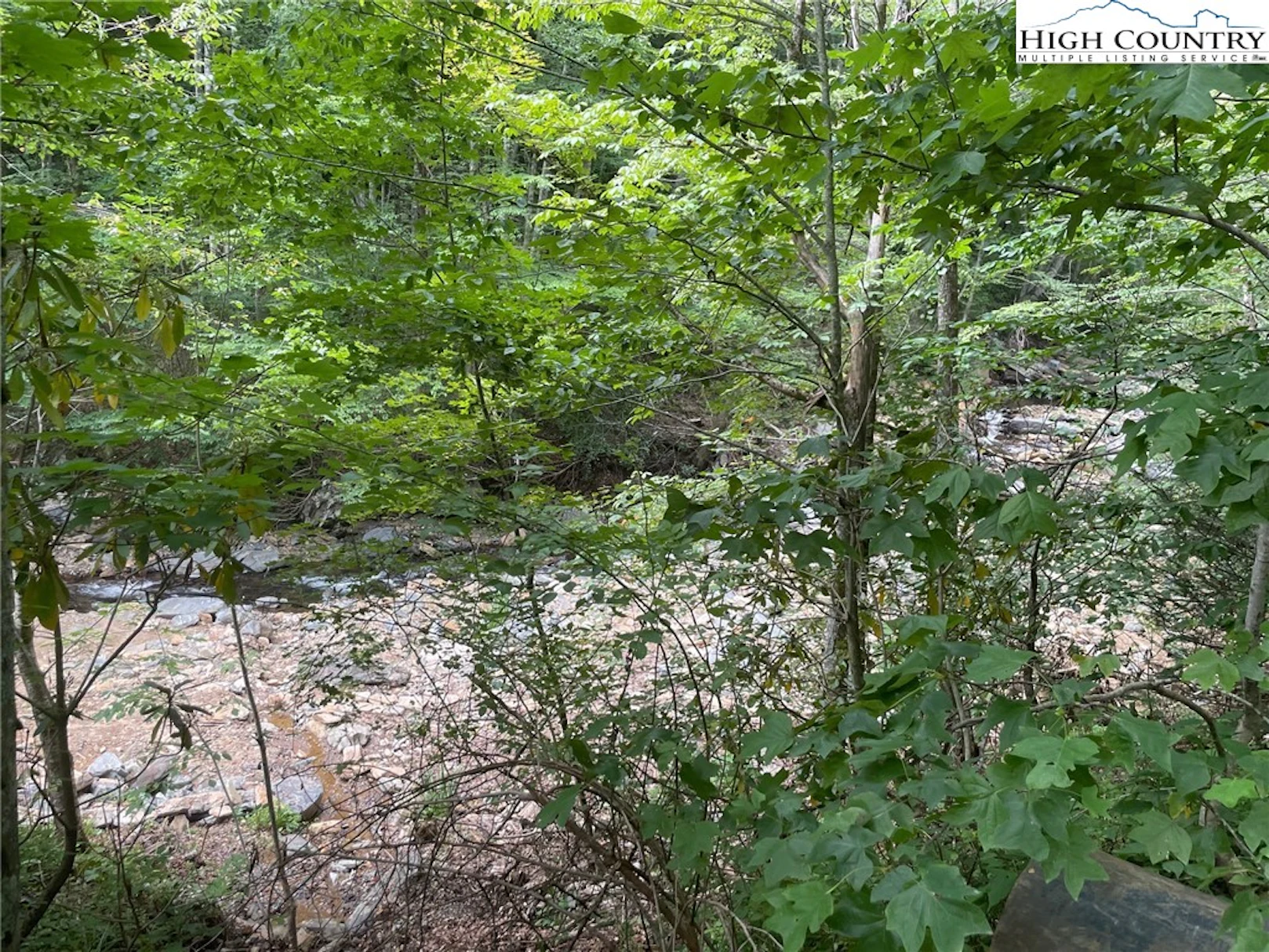 Image number 12 for the current listing