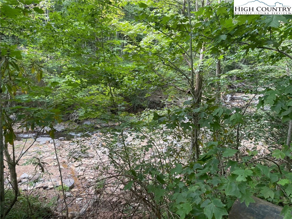 Image number 12 for the current listing