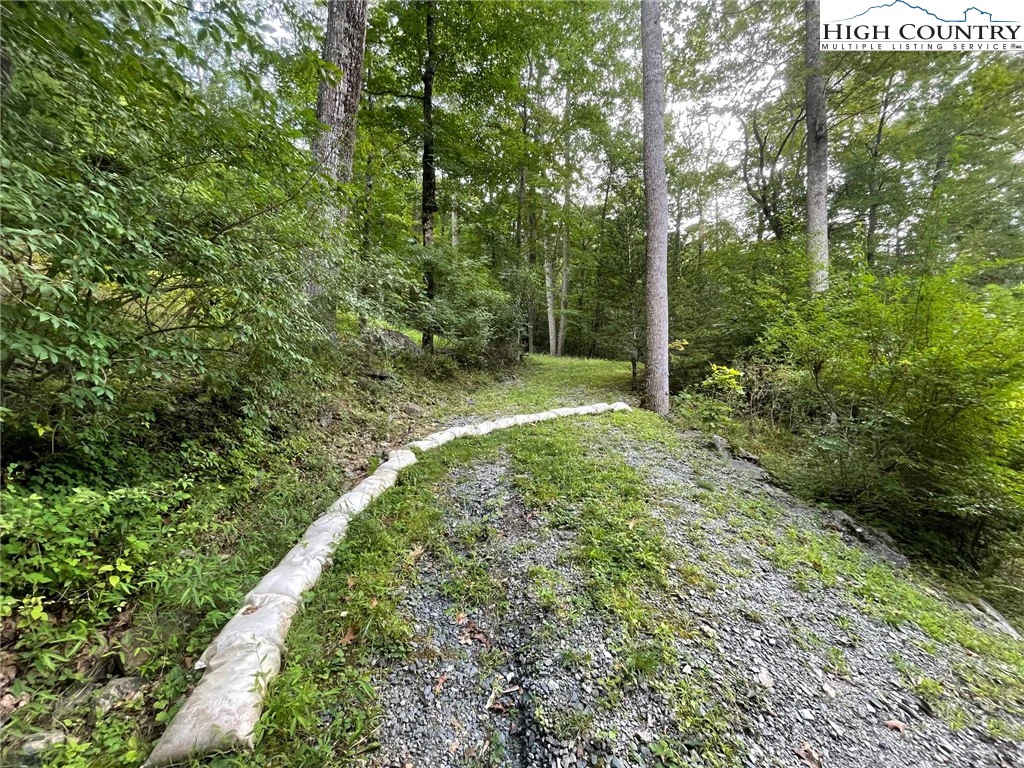 Image number 1 for the current listing