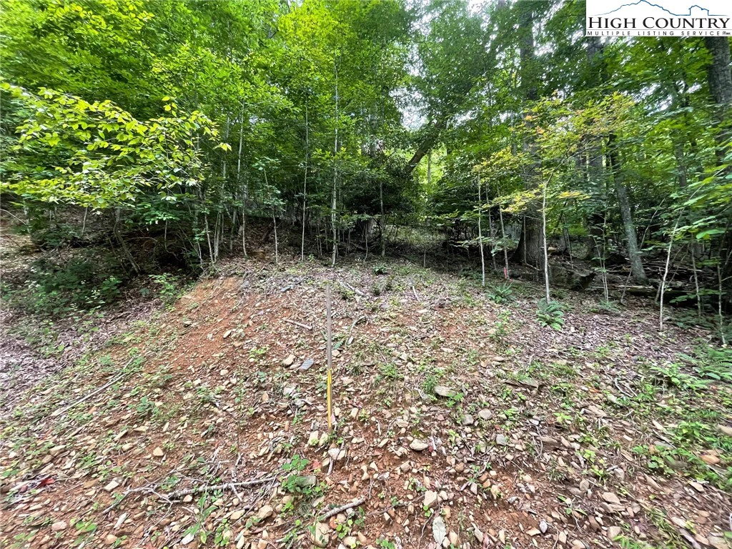 Image number 5 for the current listing