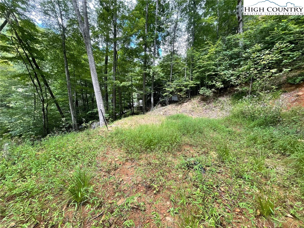 Image number 9 for the current listing