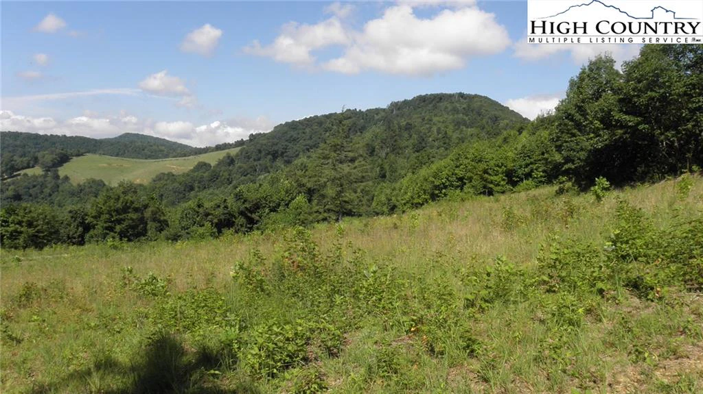 Image number 15 for the current listing