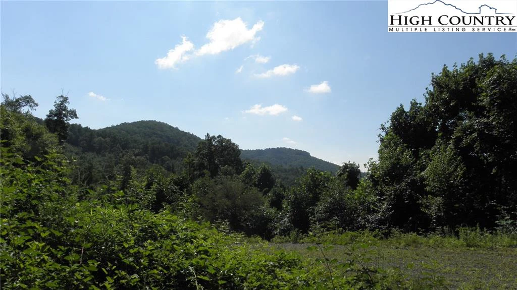 Image number 4 for the current listing