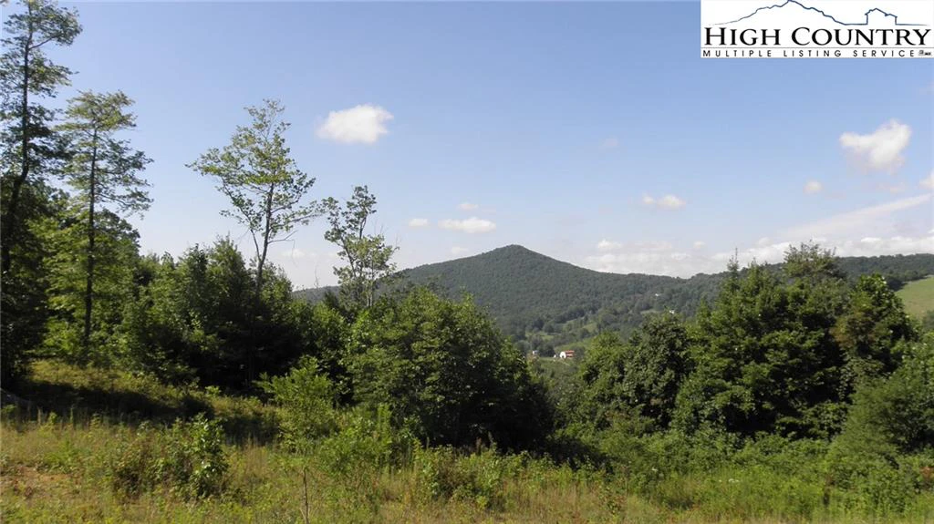 Image number 1 for the current listing