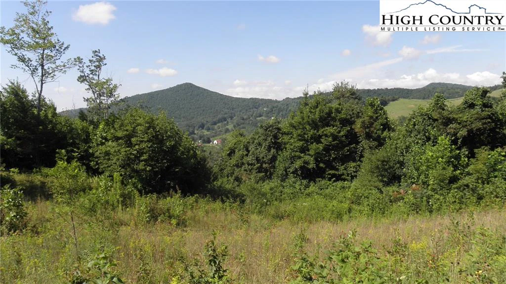 Image number 2 for the current listing