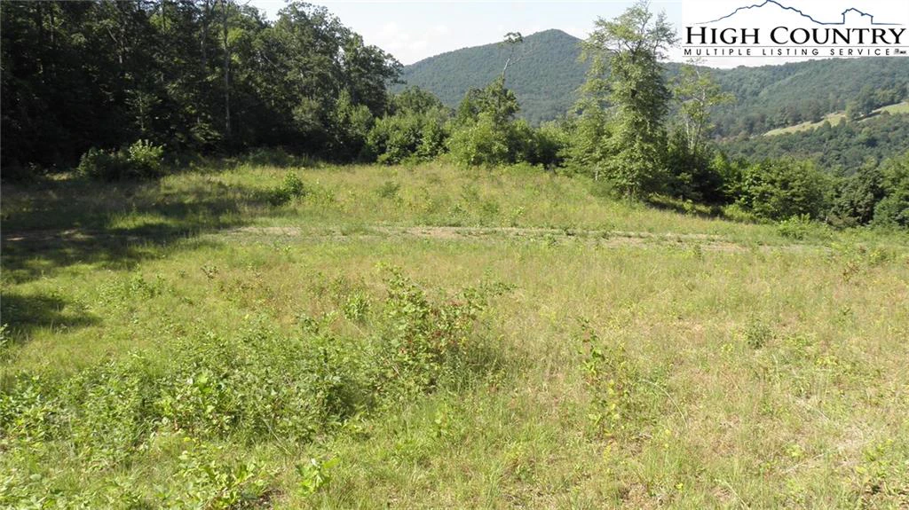 Image number 14 for the current listing