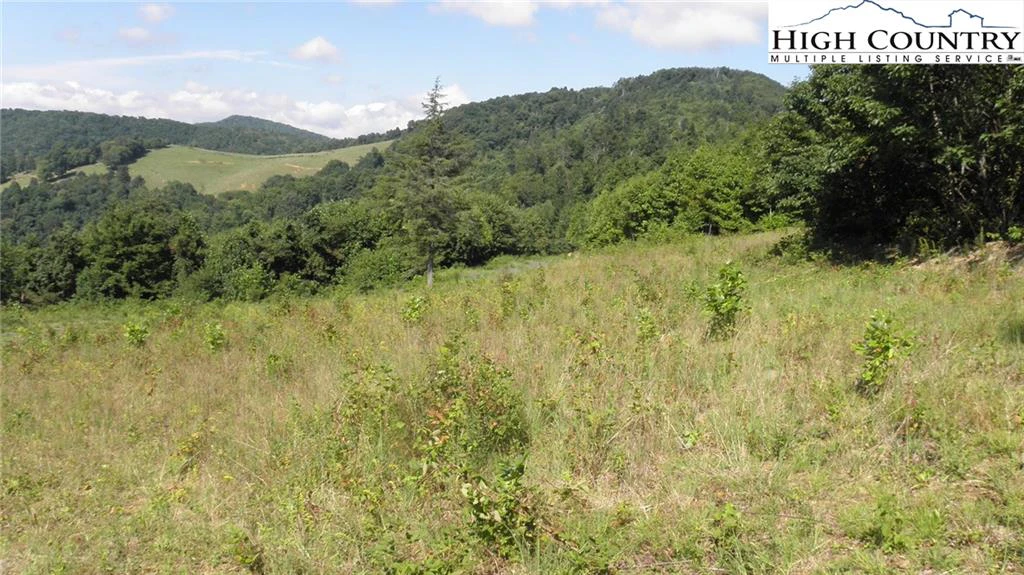 Image number 13 for the current listing