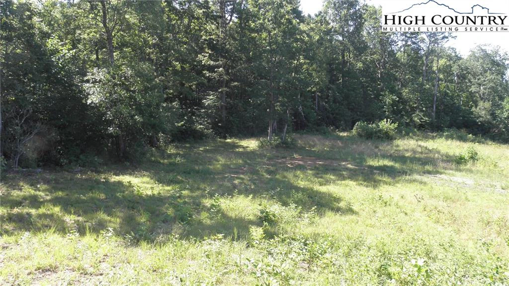 Image number 12 for the current listing