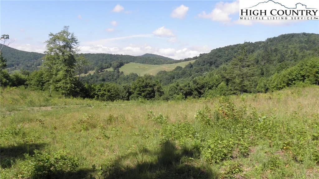 Image number 11 for the current listing