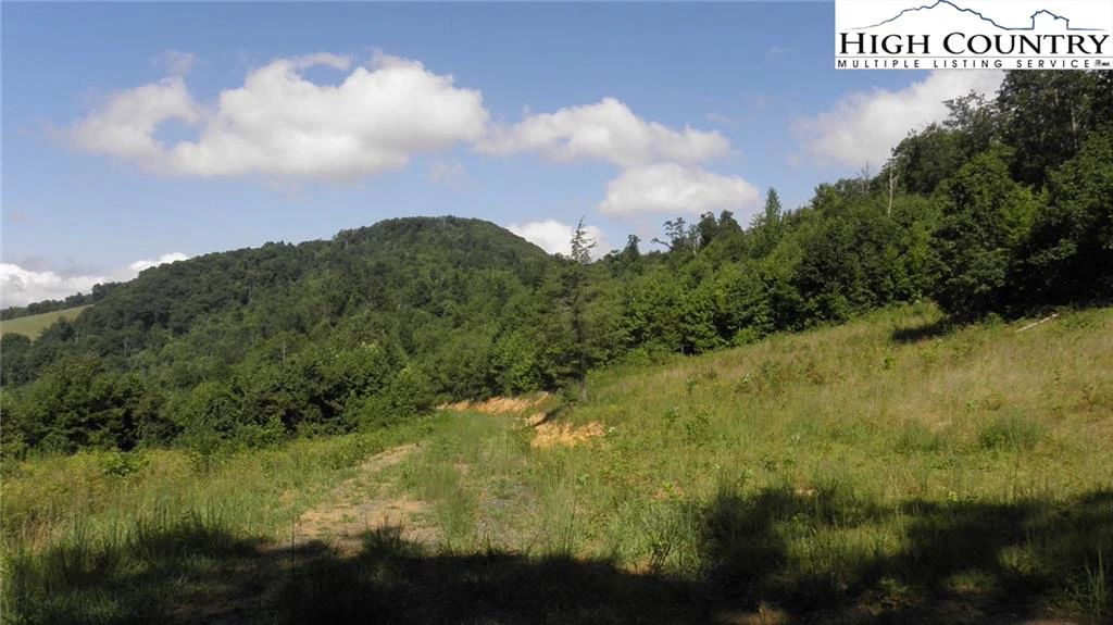 Image number 9 for the current listing