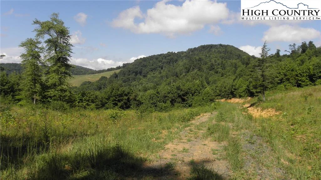 Image number 8 for the current listing