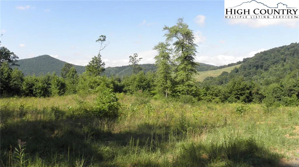 Image number 7 for the current listing