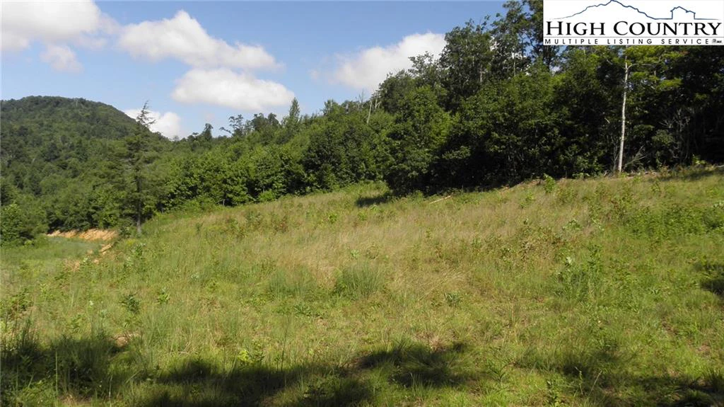 Image number 6 for the current listing