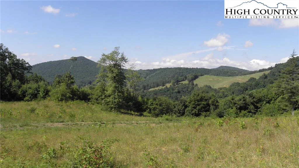 Image number 5 for the current listing