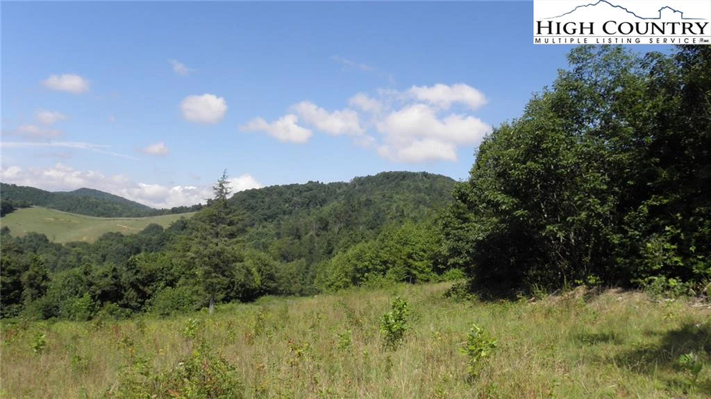 Image number 3 for the current listing