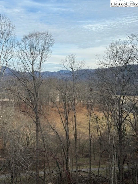 Image number 1 for the current listing
