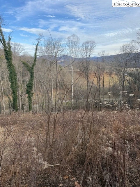 Image number 3 for the current listing