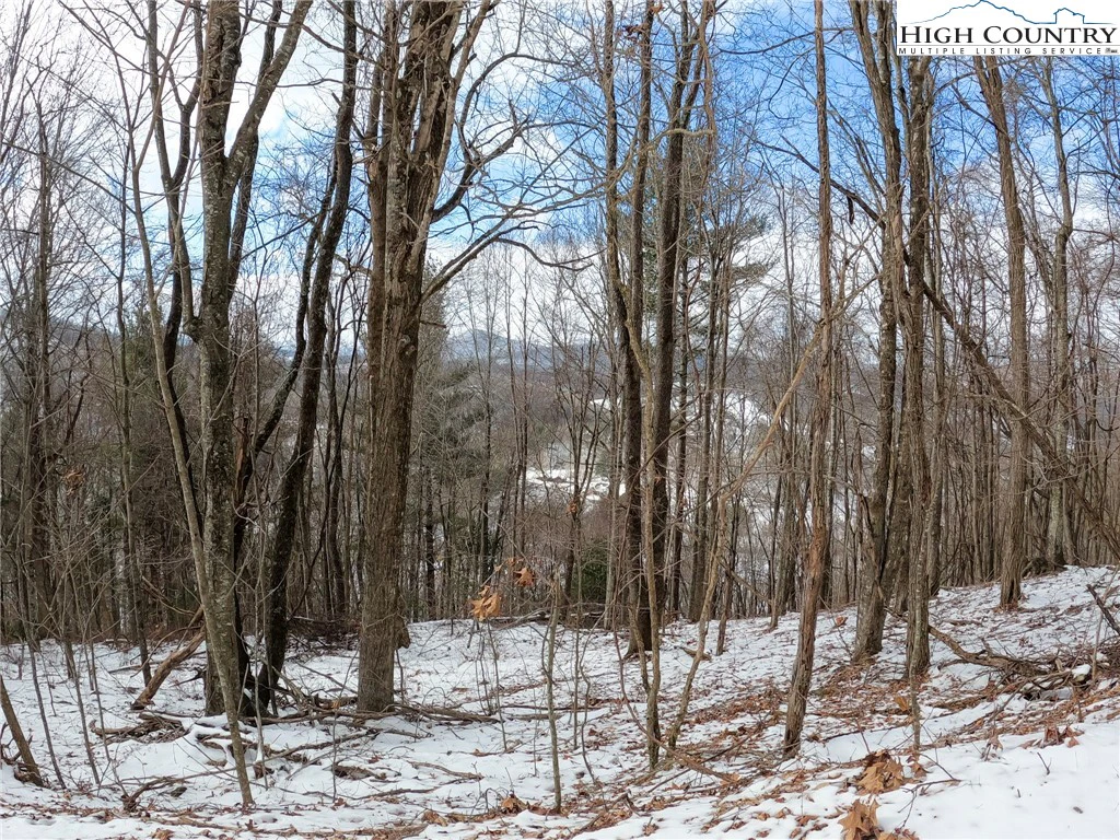 Image number 15 for the current listing