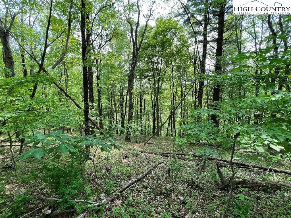 Image number 14 for the current listing