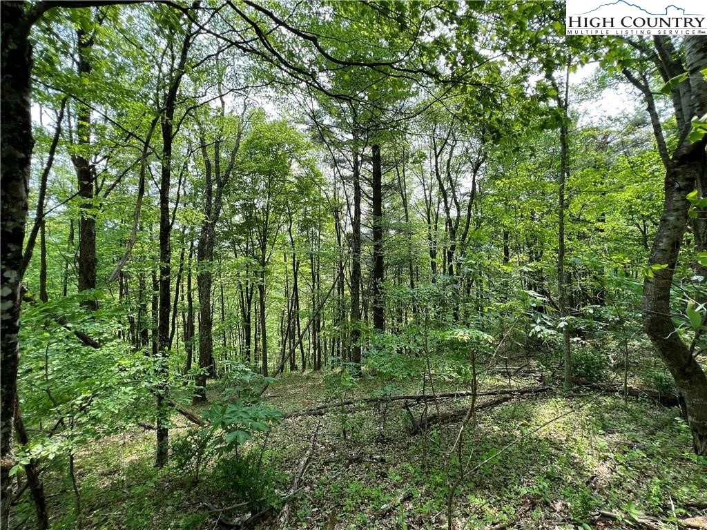 Image number 13 for the current listing