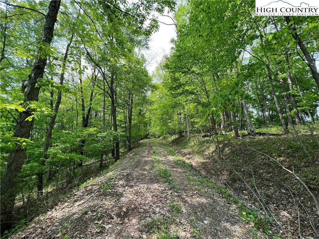 Image number 10 for the current listing