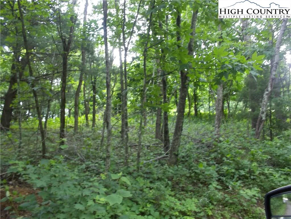 Image number 3 for the current listing