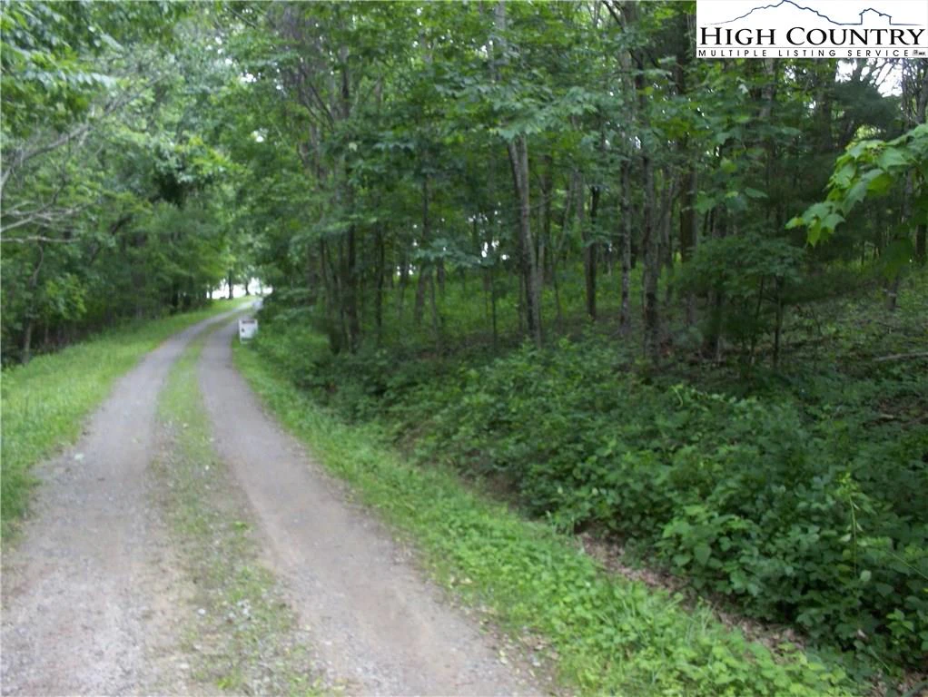 Image number 5 for the current listing