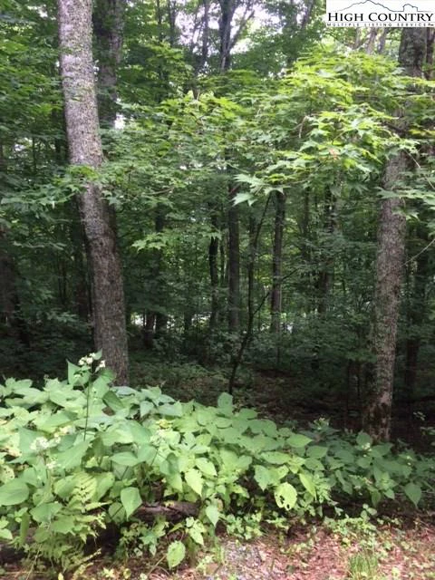 Image number 1 for the current listing
