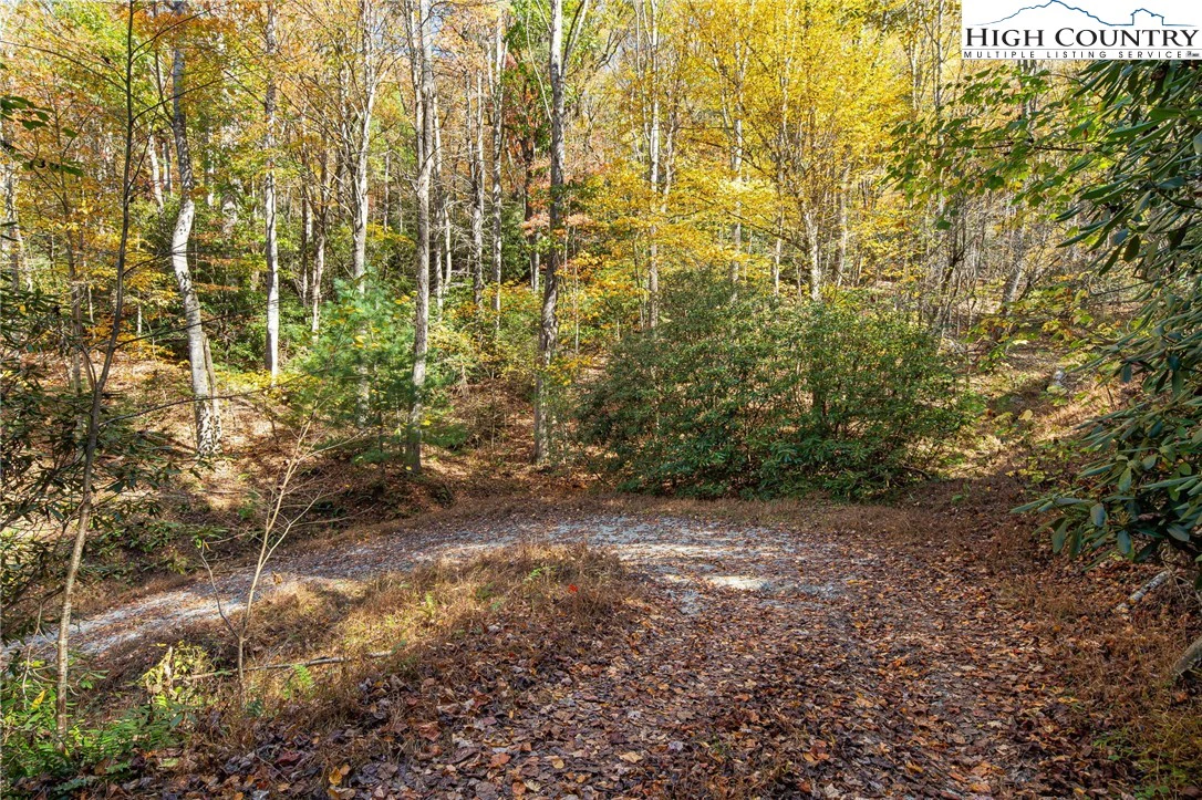 Image number 21 for the current listing
