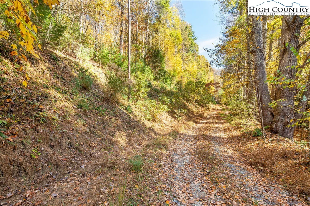 Image number 18 for the current listing