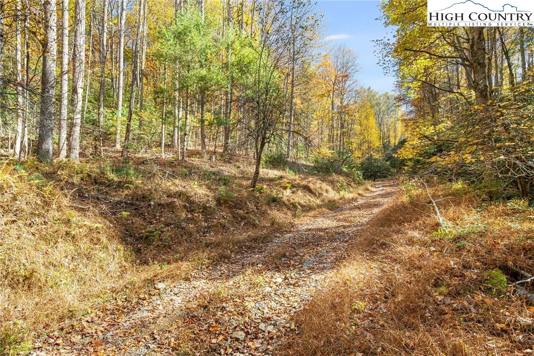 Image number 1 for the current listing