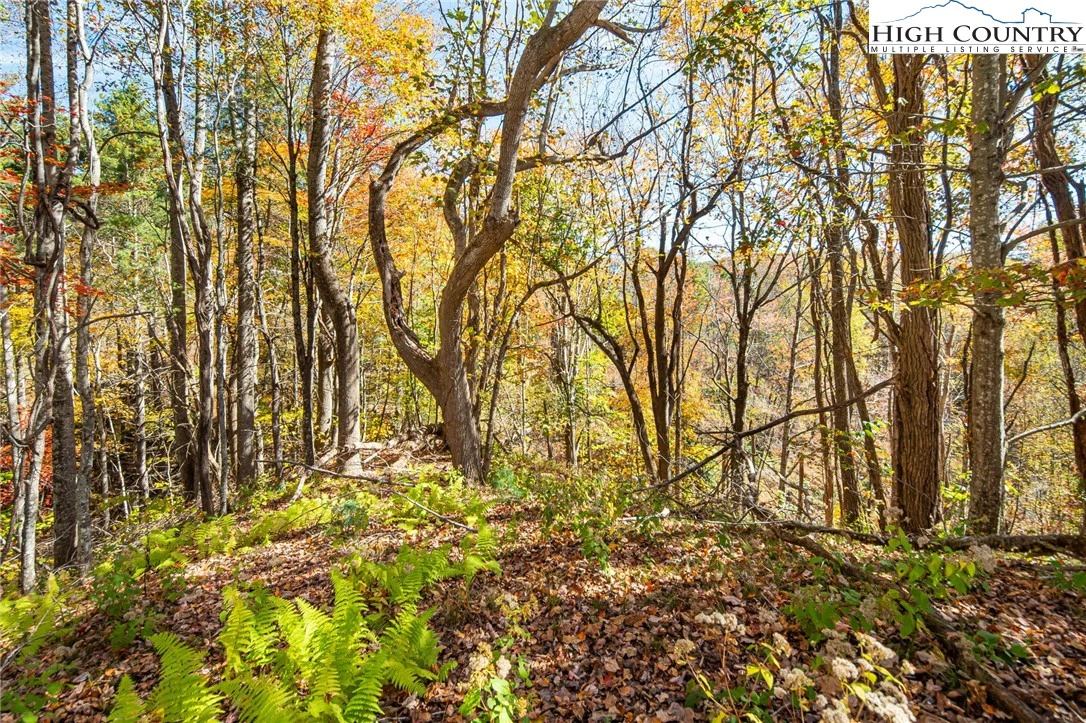 Image number 1 for the current listing
