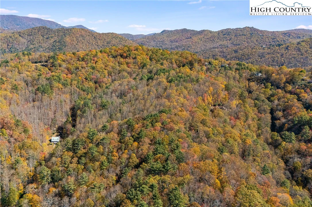 Image number 12 for the current listing
