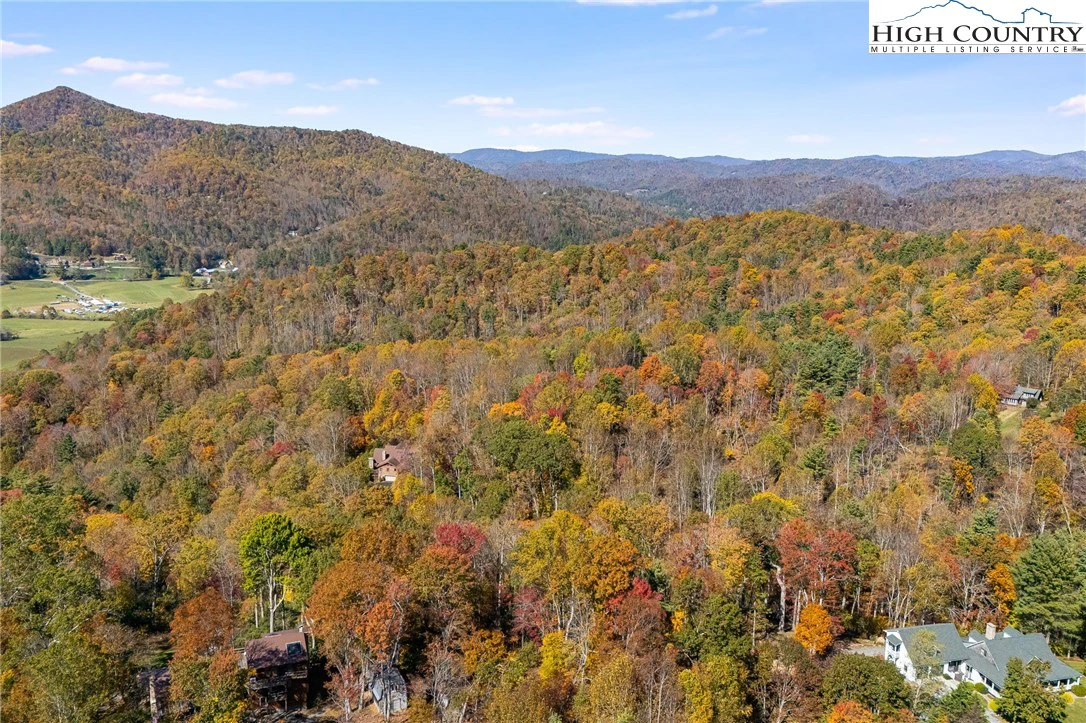 Image number 7 for the current listing