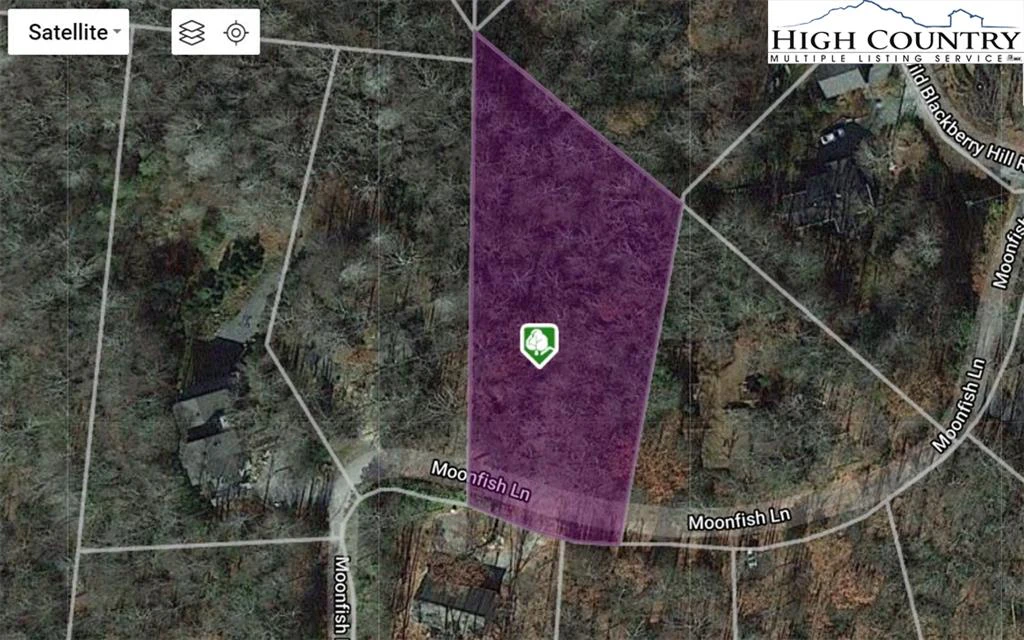 Image number 1 for the current listing